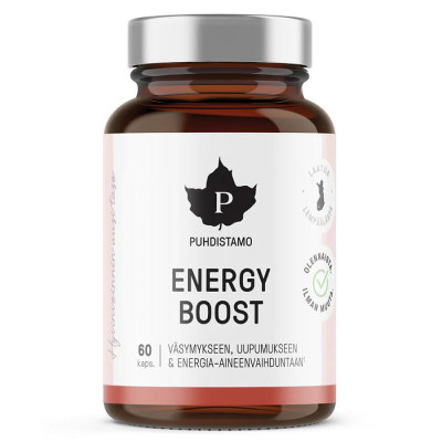 Puhdistamo EnergyBoost: 6 ingrediente pentru energia celulară | Wereco