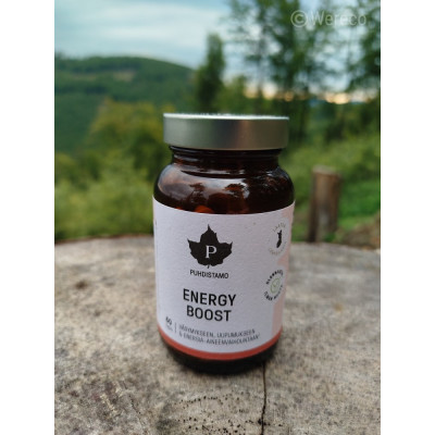 Puhdistamo EnergyBoost: 6 ingrediente pentru energia celulară | Wereco