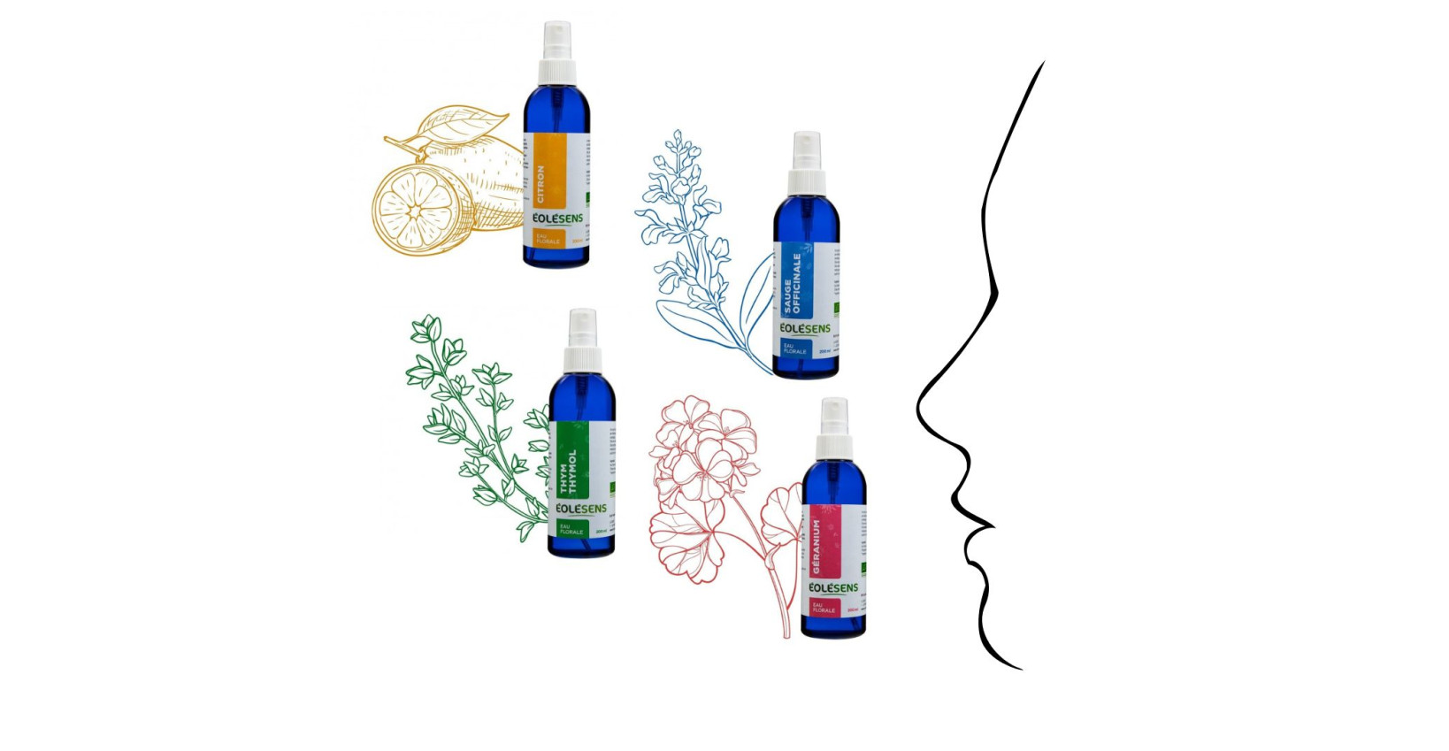Hydrolates are not just for skin care, you can use them as medicine and in the kitchen